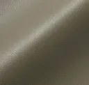 Slate