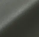Obsidian