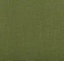 Vine