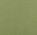 Wasabi