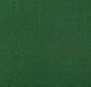 Cilantro