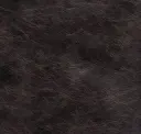 Black Steel