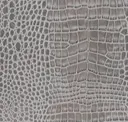 Moon Metallic