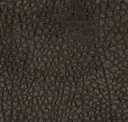 Log