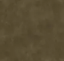 Husk