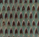Turquoise Brown