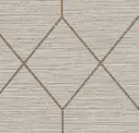 Hazelwood Fawn