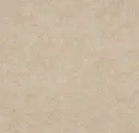 Barley