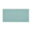 Soft Teal