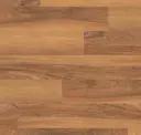 Lancewood