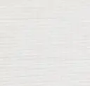 White Dove