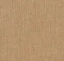 Mustard Seed