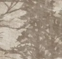 Woodland