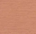 Cantaloupe
