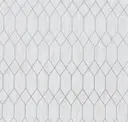 Chroma White