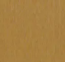 Amulet