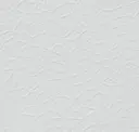 Architectural White