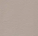 Coyote Grey