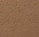 Antique Bronze