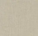 Putty