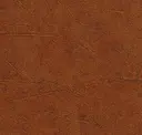 Fantasia