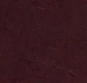 Vino