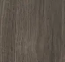 Driftwood