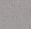 Techno Silver