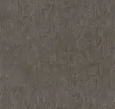 Elephany Herd