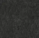 Black Angus
