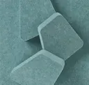 Succulent