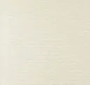 Grey Gull