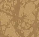 Yellowheart