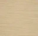 Sahara