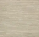 Desert