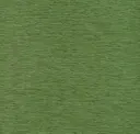 Grasshopper