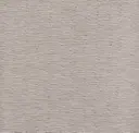 Grey Wolf