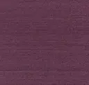 Elderberry