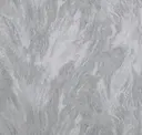 River White