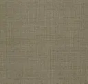 Earthy Ocher