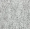 Asteroid