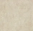 Star Dust