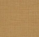 Gold Veneer