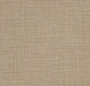 Million Dollar Beige