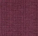 Savannah Plum