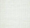 Birch Wood