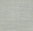 Grey Shimmer
