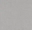 Quicksilver