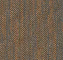 Placket