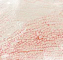 Red Coral